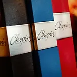 Hotel Chopin Business&spa Sochaczew