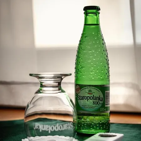 Chopin Business&spa Hotel Sochaczew