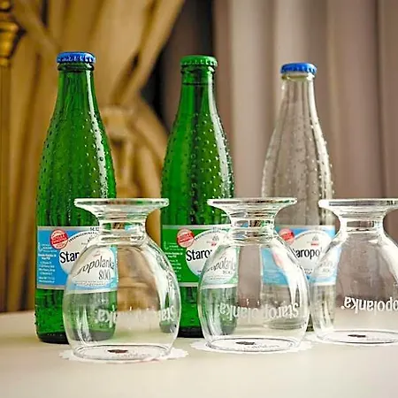 Chopin Hotel 4*