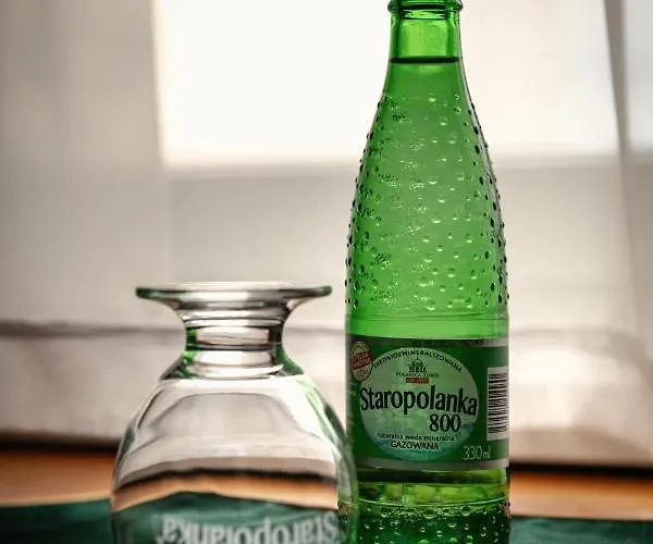 Chopin Business&spa Hotel Sochaczew